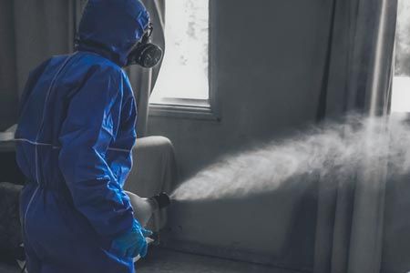 Disinfezione, disinfestazione e derattizzazione